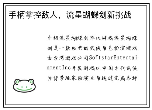 手柄掌控敌人，流星蝴蝶剑新挑战